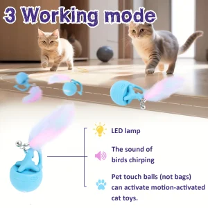 Interactive Cat Toy