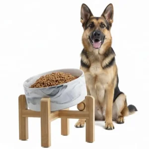 Elevated Ceramic Dog Bowl